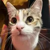 Naya