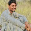 sajjad.s.s.jan8