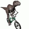 rmflwrr1