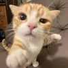 Giờ Ăn Đến Rồi!