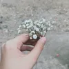 itsnsew3