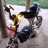 dangtuantu22