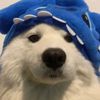 keishasdiaryy