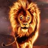 ahmadmohammed3123
