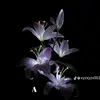 arif_aiman424