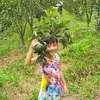 ng.hoa_217