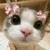 sweetygirls_30