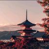 www.akuma.com20