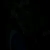 _khanhsngocc