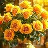 user5196311307200