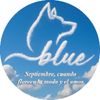 blue_bolivia