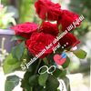 user4256517924427