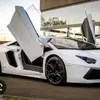 anthonyelo7