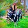 user381771923129