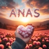 anas_202402