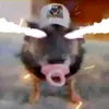3krrztinn