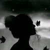 user3431611817538