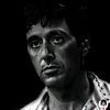 vincenzo.morici3