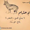 wijdanbeautifil