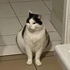 wonton_and_sushi