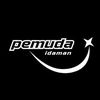 Pemuda idaman