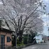 kocoten29012005