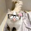 sobutiful1