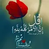 neven.badawi