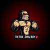 dinuboy69
