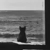 toiyai2_0