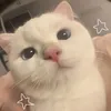 giezelmae4