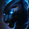 user9772311822447