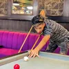 anas_jemmi