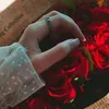 ehlibeyt_asiqi._313.0