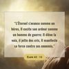 user78490514607503