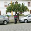 agusafonso865