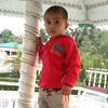 sharafatulla36