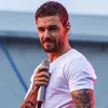 liamandelvisfan24