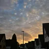 melina_bhv4