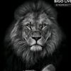 dxb.king001