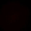 ailedrodriguez_11