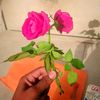 notunjibon75