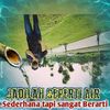 ahmadjali97