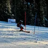 petro1240