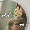 user7207653473061