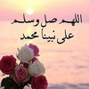 salma.ahmad651