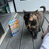 reagan.thecat