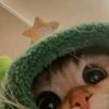 mariana._.352