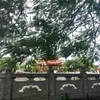 hy101881142497