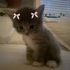 shahirathegirl